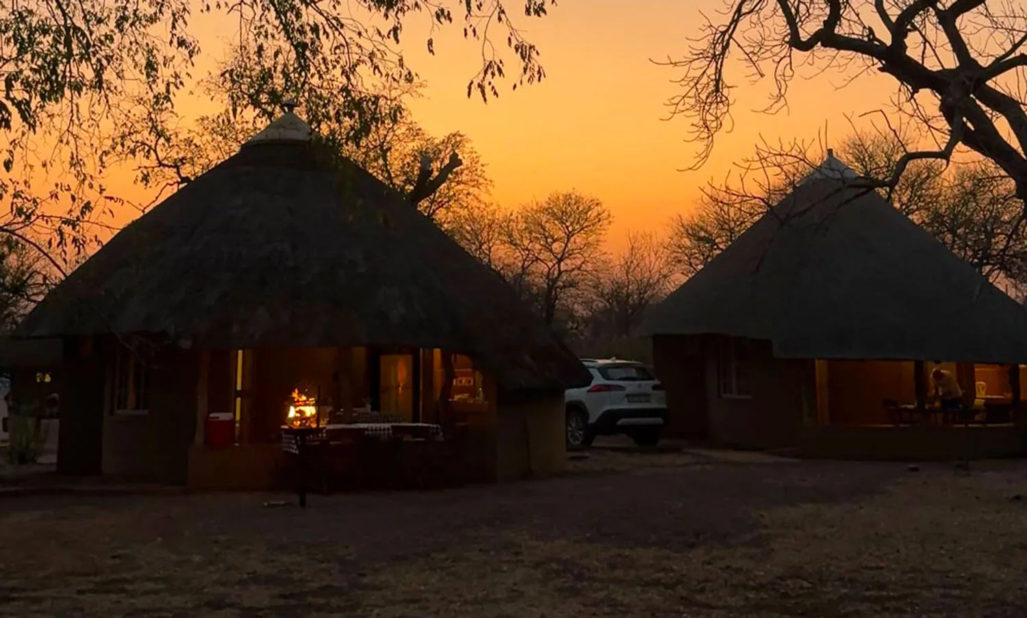 Paysage du bush sud-africain au parc Kruger