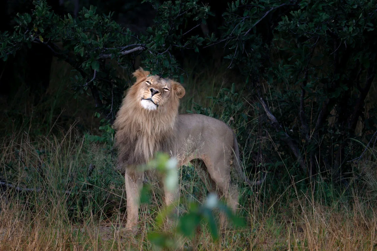 Matériel photo animalière en situation — Aurélie Tiron
