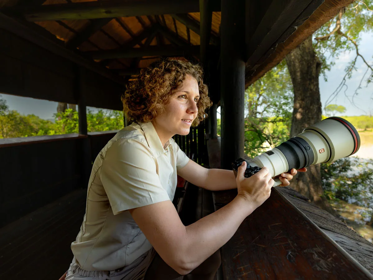 Affût photographique au bord d'un point d'eau — Kruger