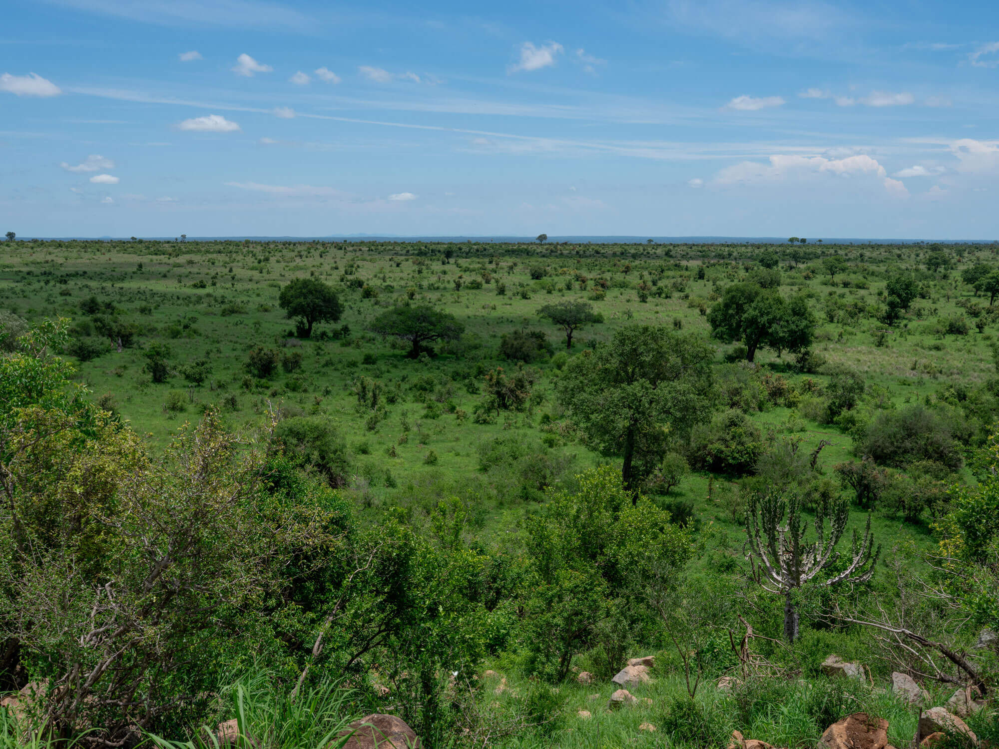 Vidéos de terrain