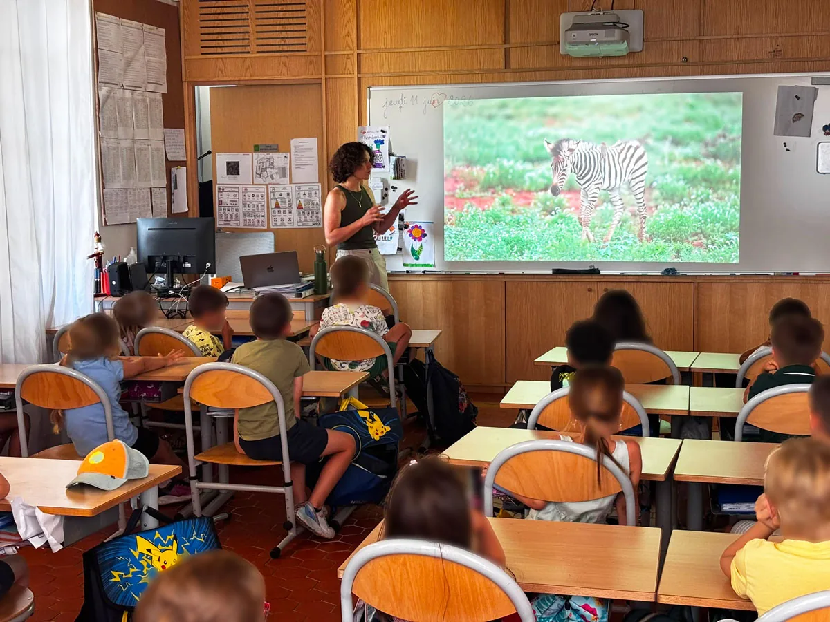 Intervention d'Aurélie Tiron en classe — photo d'un zèbre commentée à l'écran
